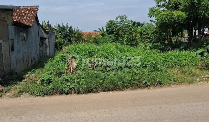 Jual Cepat Tanah Lt 290 M2 Zona Perumahan di Pinggir Jalan Gunung Maloko Cisauk