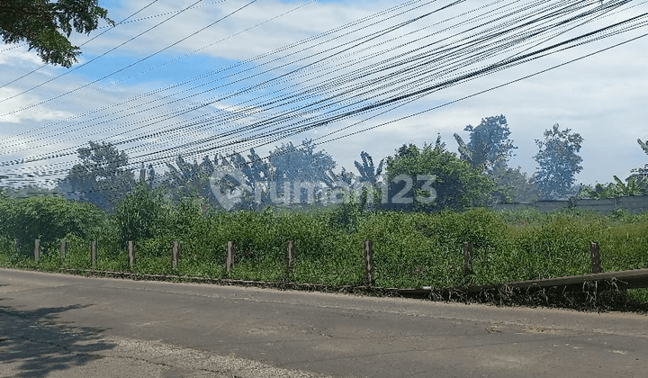 Jual Cepat & Murah Tanah 92 Ha, Zona Perumahan Di Solear Tangerang