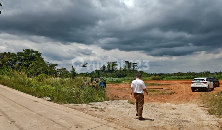 Jual Cepat Tanah Kosong 3,7 Ha di Jalan Raya Serang - Pandeglang Kemanisan Kec Curug Kota Serang