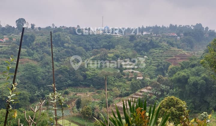 Mainroad Plantation Land Parongpong Area