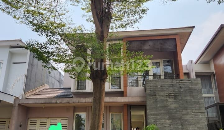 Disewa rumah Bagus dan siap huni di Alam Sutera Cluster Orlanda