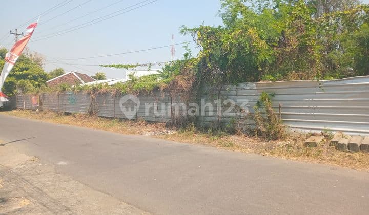 Disewakan Tanah Di Pemuktibaru, Tlogo, Kecamatan Prambanan, Klaten Jawa Tengah