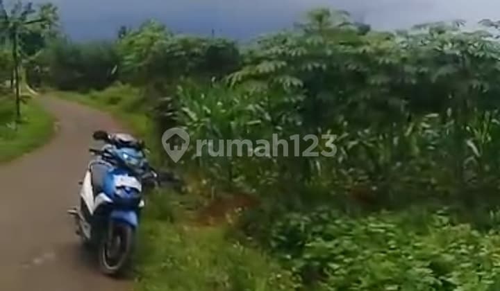 TANAH CIAMPEA BOGOR DI JUAL MURAH