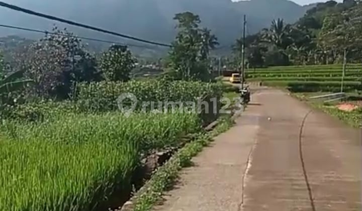 Tanah Dijual Pamijahan , Bogor