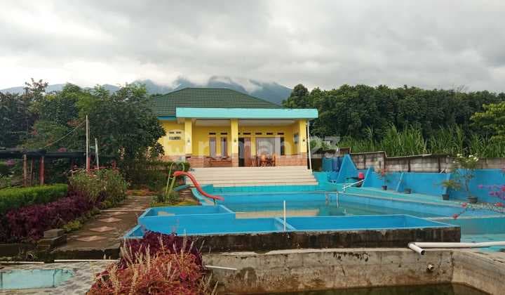 Di Jual Rumah Taman Sari Ciapus Bogor