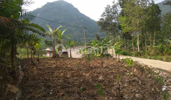 Tanah Jual Sentul Bojong Koneng , Bogor
