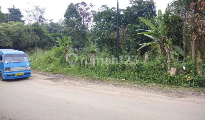 di Jln Buniaga Ciapus Tamansari Bogor, Bogor