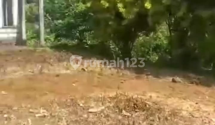 Tanah Jual Murah Tamansari, bogor