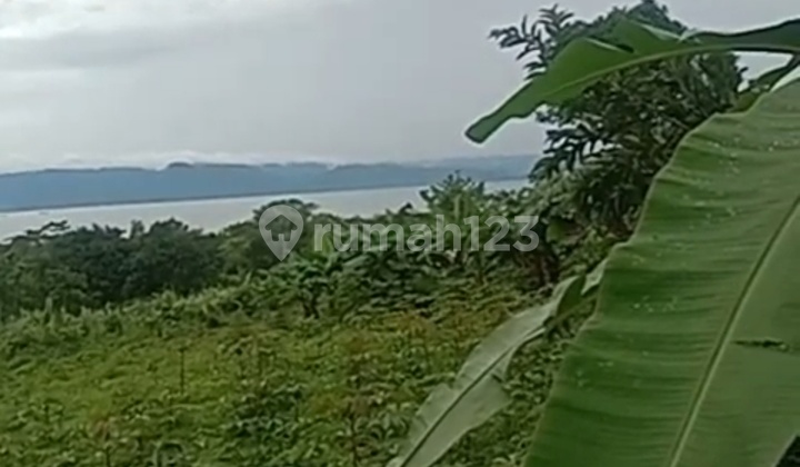 Land Near the Coast of Sukabumi, West Java