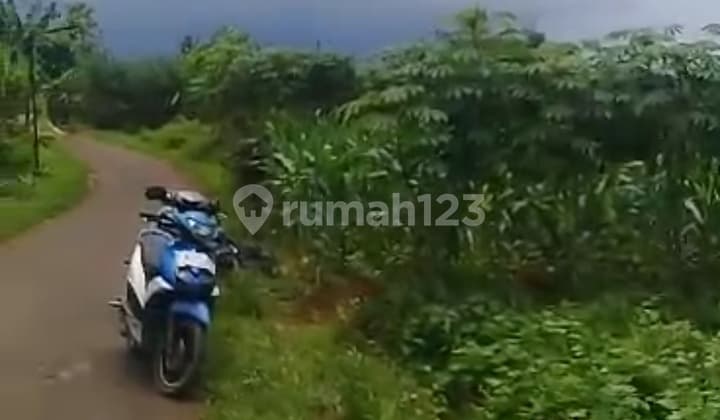 Affordable Land in Ciomas Bogor