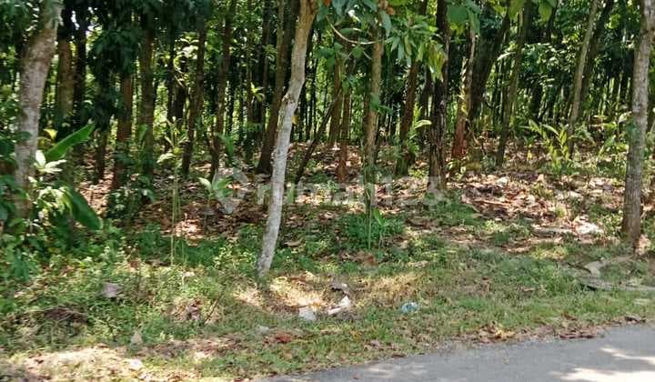 TANAH MURAH PURWAKARTA