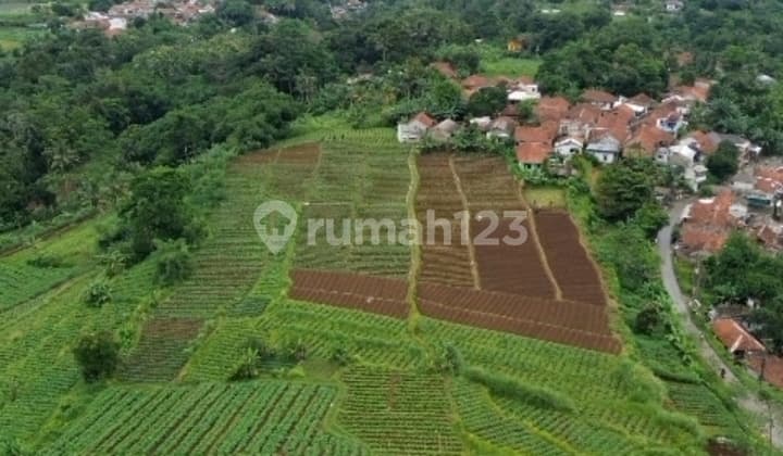 Tanah Bagus Ciomas Bogor
