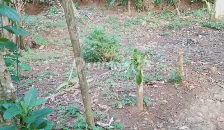 TANAH MURAH DI TAMANSARI SUKAJAYA NAMBO, BOGOR