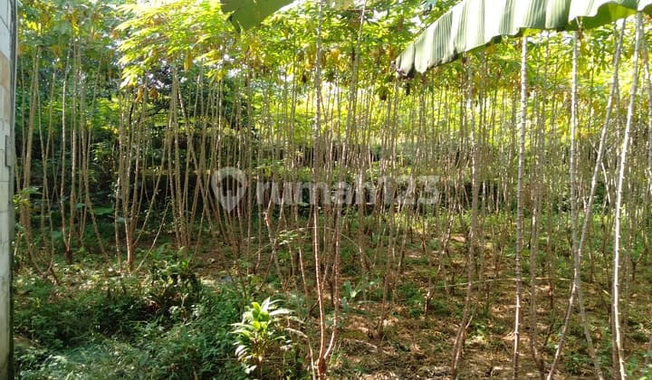 DI JUAL TANAH DEKAT SENTUL CITY