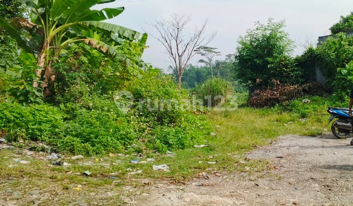 TANAH MURAH SENTUL BABAKAN MADANG , BOGOR