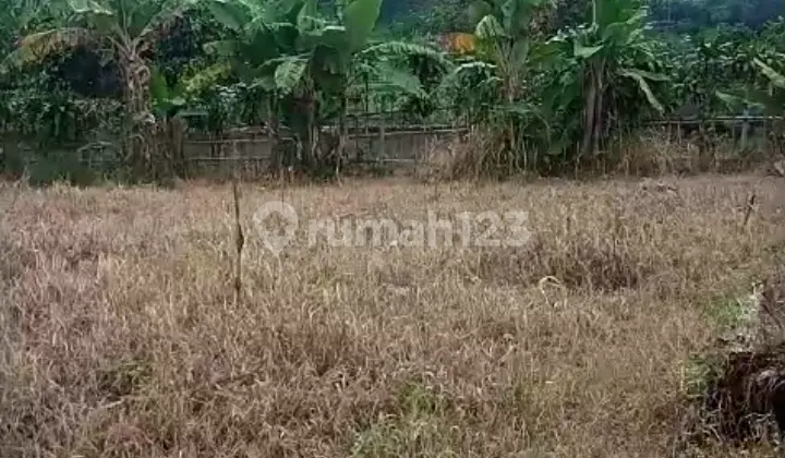 Ciapus Land, Tamansari, Bogor