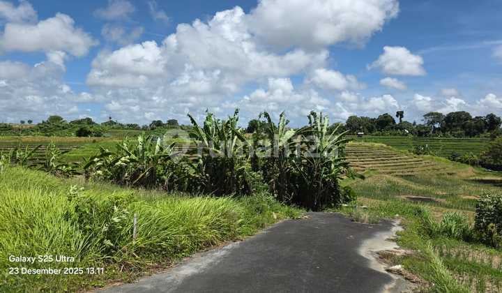 Tanah Langka 200M2 Lingkungan Villa di Tumbak Bayuh View Sawah Abadi