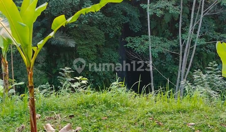 Tanah Siap Bangun 1450 M² Shm Dengan View Hutan Dan Air Terjun Yg Indah