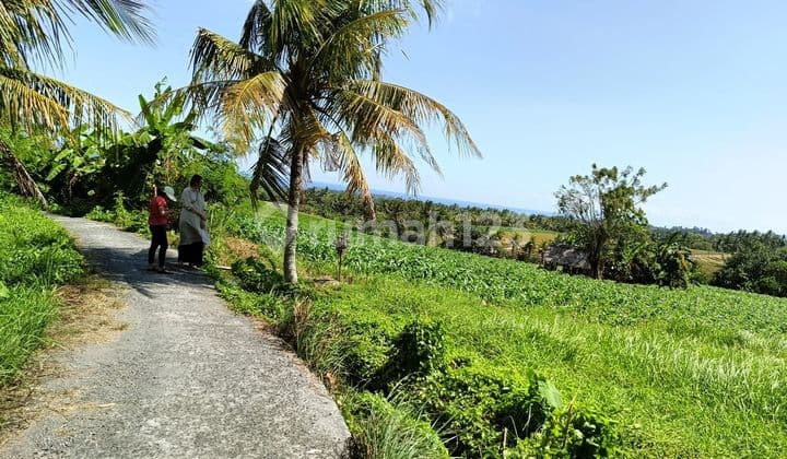 Dijual Cepat Tanah Di Berembeng Tabanan 535 M² View Laut Dan Sawah
