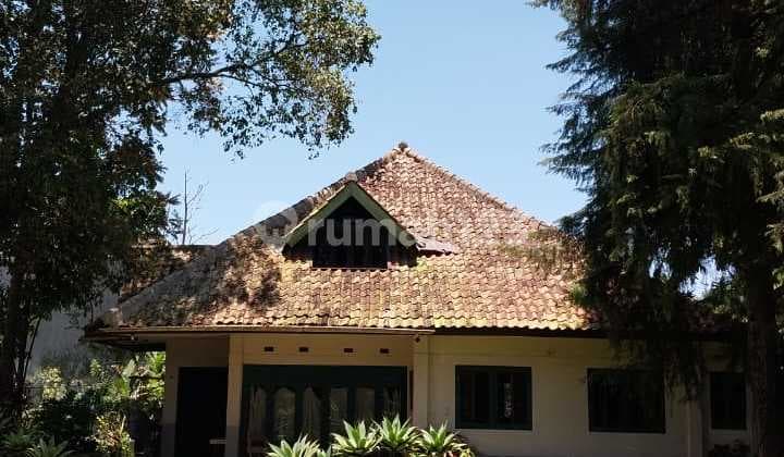 Rumah Klasik Jaman Belanda Tanah Luas bukan Heritage