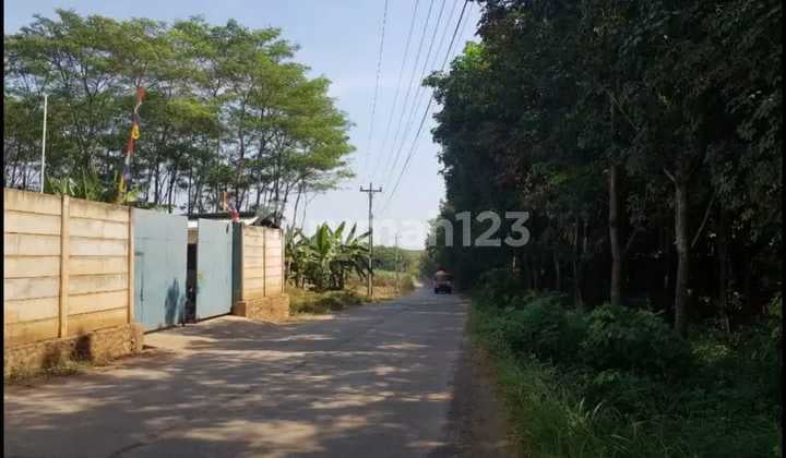 Kavling di Gringsing Batang Kavling di Gringsing Batang