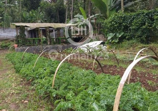 Kavling di daerah Dusun Tawang