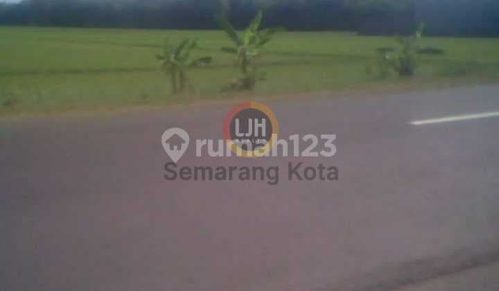 Kavling Untuk Industri di Sayung