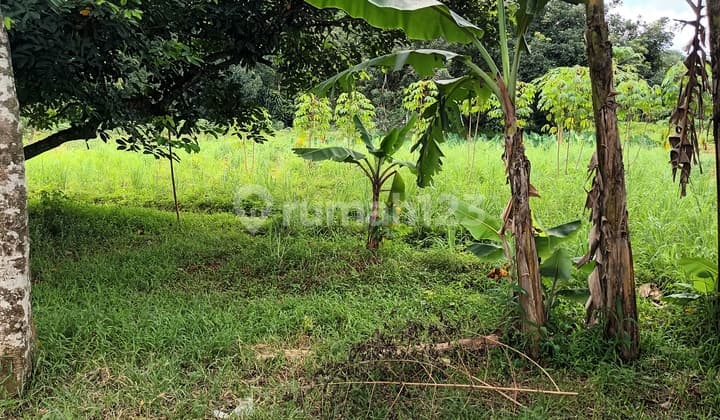 Tanah murah di dekat Mekarsari