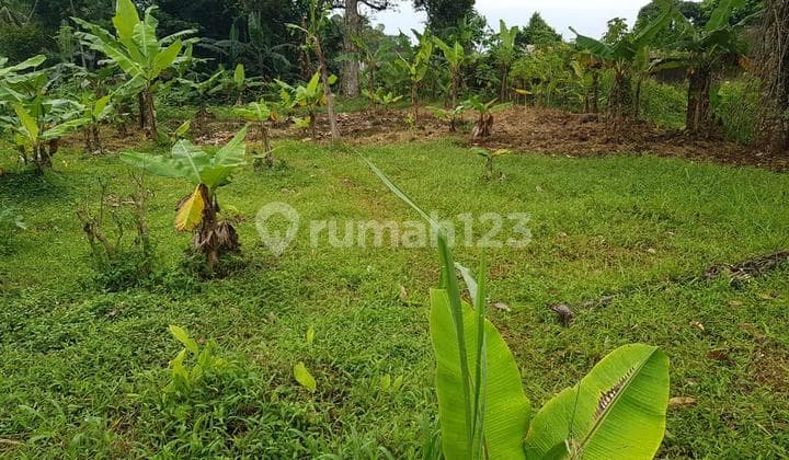 Tanah Murah di Cigombong Bogor