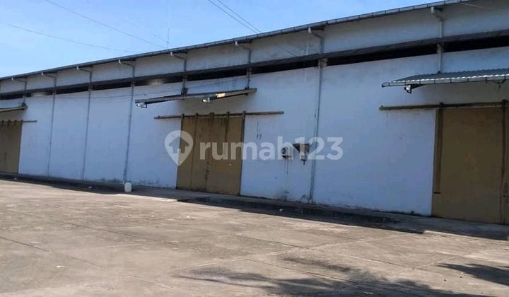 Gudang Sewa Siap Pakai Di Kapasa Raya Makassar