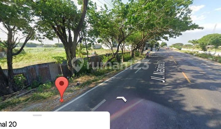 For Sale: Large Provincial Land, Prayungan Village, Babat Bojonegoro