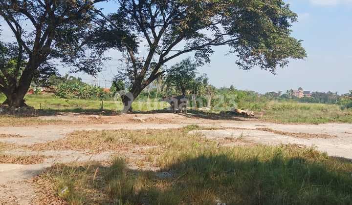 Tanah Komersial di Jln Raya Ciangsana Cibubur Bogor, Bogor