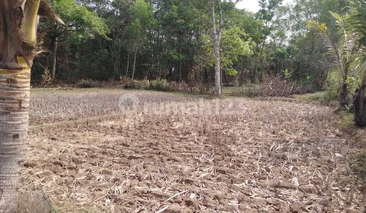 Tanah di Kav Mabes Munjul Cileles Tigaraksa Tangerang, Tangerang
