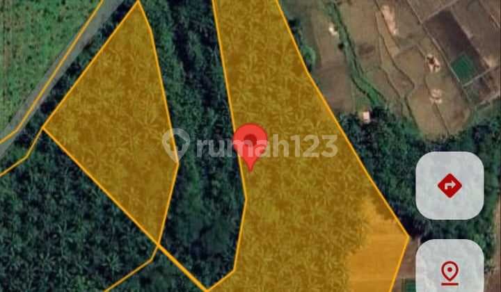 Garden Land in Cikeusik