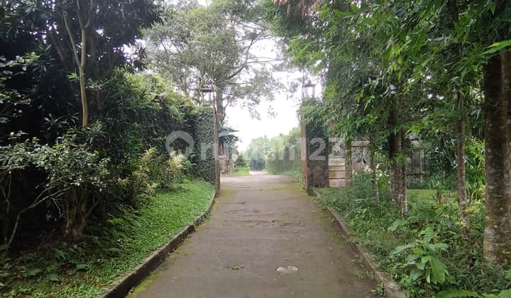 Peak Land For Quick Sale