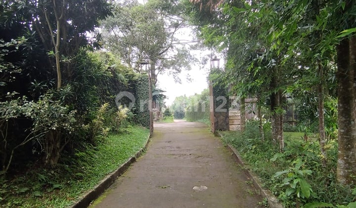 Tanah Puncak Jual Cepat