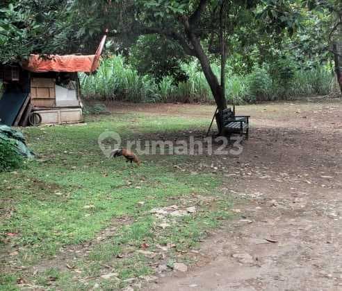 Tanah Di Cirendue Cocok Untuk Town House Jalan Lebar.