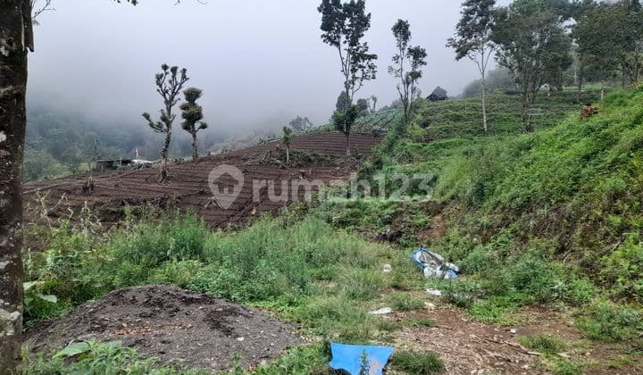 Jual Murah Tanah di Sembalun Lombok