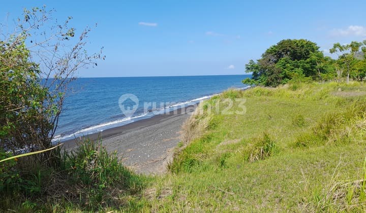 Tanah Murah Los Pantai Cocok Untuk Tambak