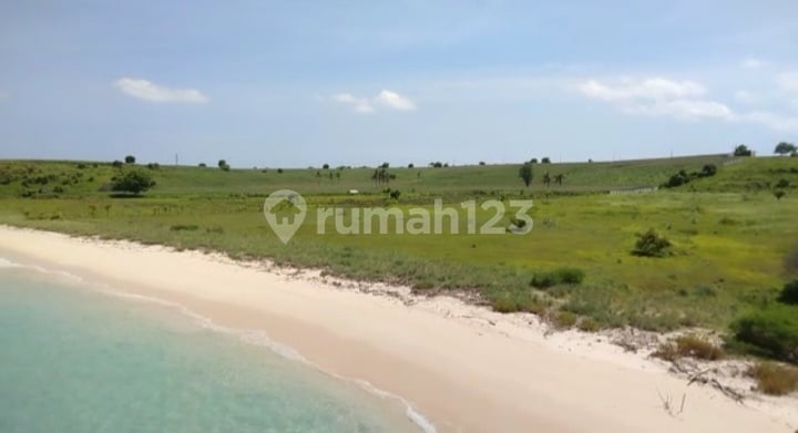 Tanah Murah Los Pantai Pink Lombok