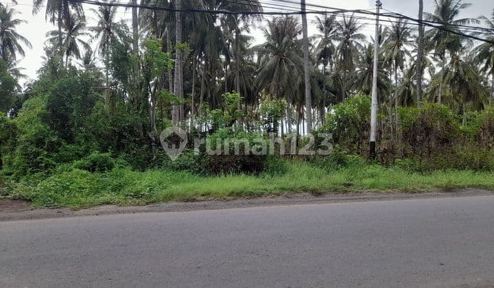 Dijual Murah Tanah di Pinggir Jalan Raya Utama
