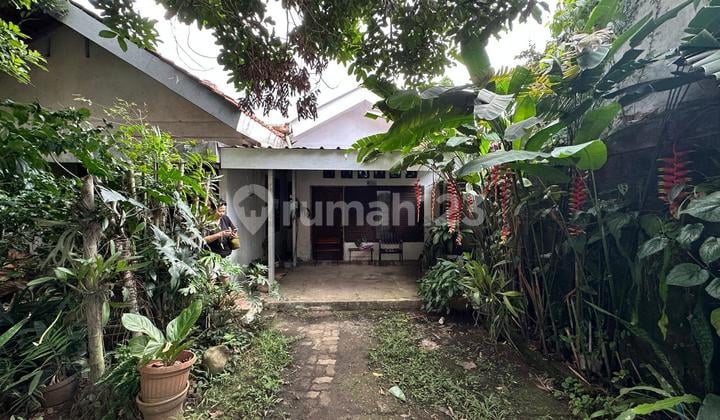 Rumah Cocok Untuk Kost Dekat Universitas Ui Depok