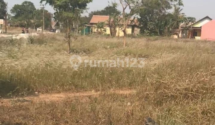 Dijual Tanah Cocok untuk Perumahan Atau Gudang Di Cipocok Banten