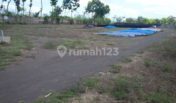 Flat, square-shaped land ready for INDUSTRIAL construction‼️