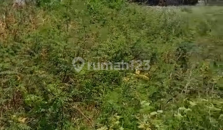 Tanah Komersial Siap Bangun Untuk Pabrik/gudang
