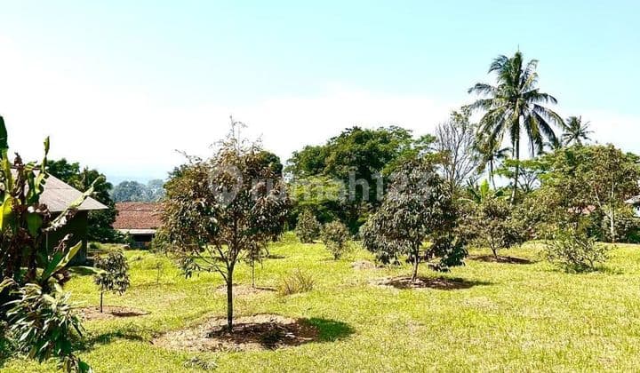 Garden land for sale in Bogor, roadside.