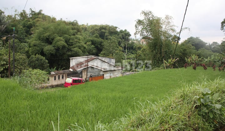 6 Petak Sawah Bisa Unt Rumah Atau Villa