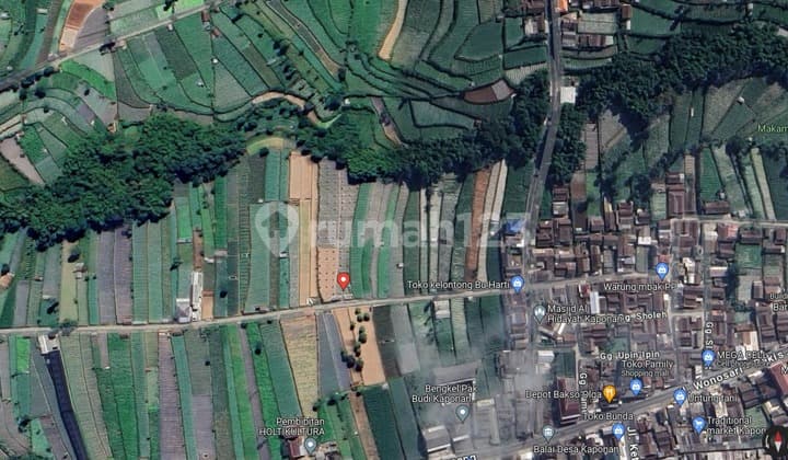 Tanah Kebun Alpukat Kopeng