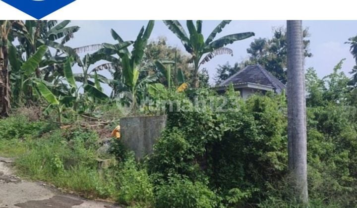 tanah bukit wilis tanah bukit wilis