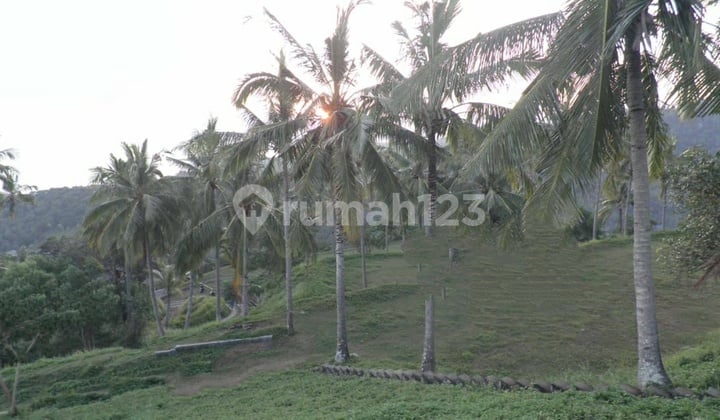 Land Plot Bukit Batu Layer Estate West Lombok